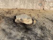 ROGNEUSE DE SOUCHE MINI PELLE